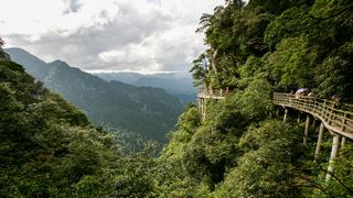 井冈山笔架山 景点图 146_8