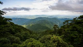 井冈山笔架山 景点图 146_11