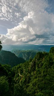 井冈山笔架山 景点图 146_12