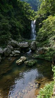 井冈山龙潭瀑布群 景点图 147_3