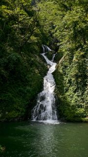 井冈山龙潭瀑布群 景点图 147_4