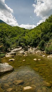 婺源大鄣山卧龙谷 景点图 153_9