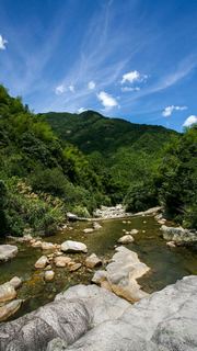 婺源大鄣山卧龙谷 景点图 153_11