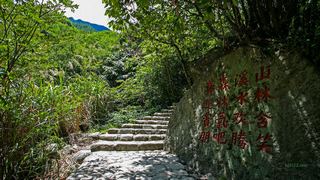 婺源大鄣山卧龙谷 景点图 153_12