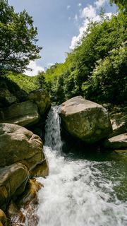 婺源大鄣山卧龙谷 景点图 153_13