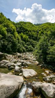 婺源大鄣山卧龙谷 景点图 153_15