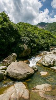 婺源大鄣山卧龙谷 景点图 153_16