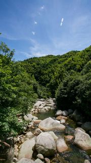 婺源大鄣山卧龙谷 景点图 153_19