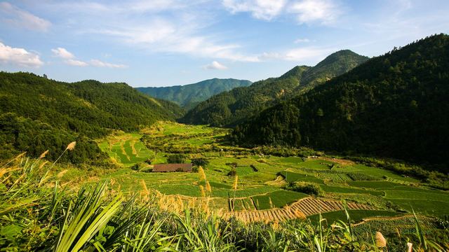 三清山山脚农田