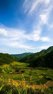 三清山山脚农田 景点图 155_2