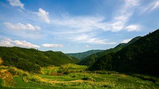 三清山山脚农田 景点图 155_3