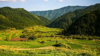 三清山山脚农田 景点图 155_4