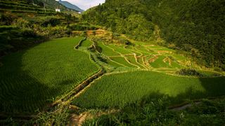 三清山山脚农田 景点图 155_5