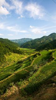 三清山山脚农田 景点图 155_6