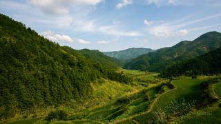 三清山山脚农田 景点图 155_7