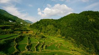 三清山山脚农田 景点图 155_8