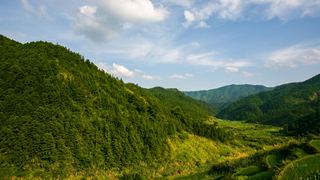 三清山山脚农田 景点图 155_10