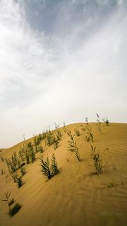 达瓦昆沙漠 景点图 163_6