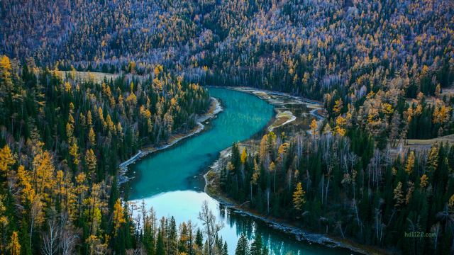 阿勒泰喀纳斯景区