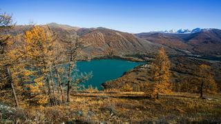 喀纳斯湖观鱼台 景点图 169_9