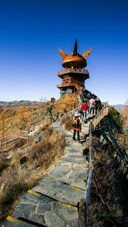 喀纳斯湖观鱼台 景点图 169_14