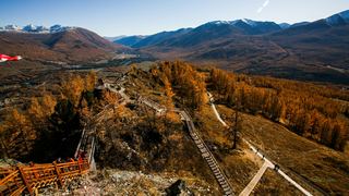 喀纳斯湖观鱼台 景点图 169_17