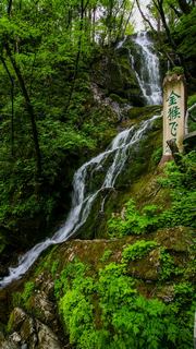 神农架 景点图 176_13