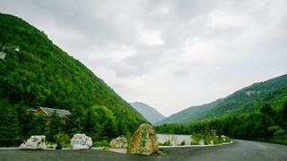 神农架 景点图 176_17