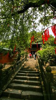 武当山 景点图 177_3