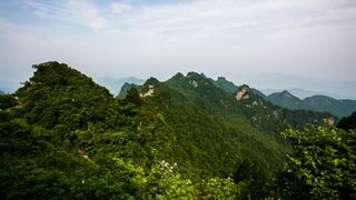 武当山 景点图 177_19