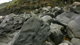 滨海火山国家地质公园 景点图 187_15