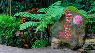 赤水丹霞·红石野谷 景点图 19_2
