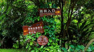 呀诺达雨林文化 景点图 2_5