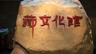 青海藏文化馆 景点图 206_2