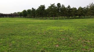 大明宫国家遗址公园 景点图 208_3