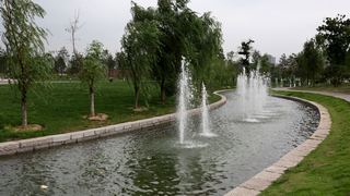 大明宫国家遗址公园 景点图 208_12