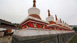 塔尔寺 景点图 212_3