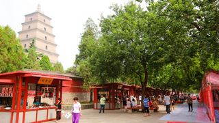 大雁塔、大慈恩寺 景点图 215_5