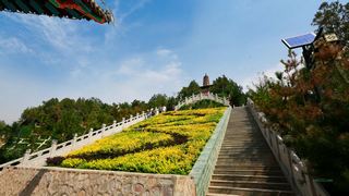 白塔山公园 景点图 219_16