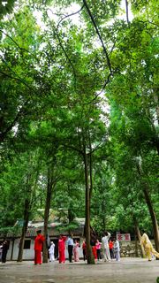 黔灵山公园 景点图 22_4