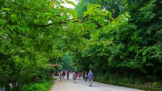 黔灵山公园 景点图 22_6