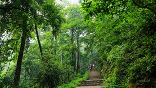 黔灵山公园 景点图 22_8