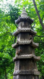 黔灵山公园 景点图 22_10