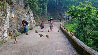 黔灵山公园 景点图 22_14
