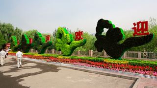 黄河风情线 景点图 220_4