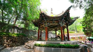 五泉山公园 景点图 221_11