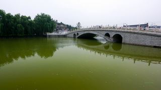 大唐芙蓉园 景点图 228_13