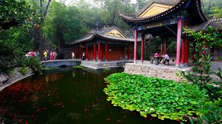 华清池 景点图 229_6