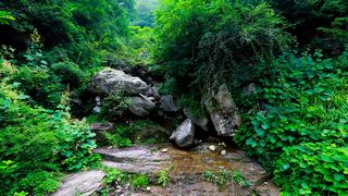 万仙山风景名胜区 景点图 231_8