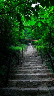 万仙山风景名胜区 景点图 231_17